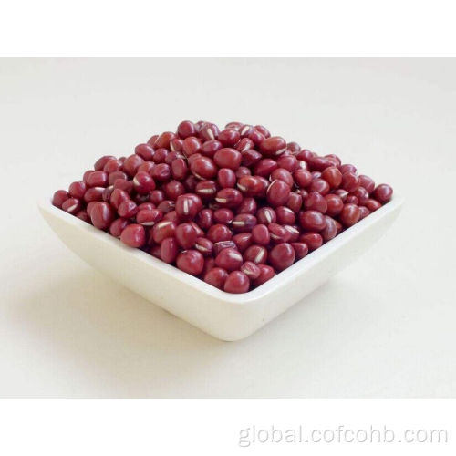 Dried Red Beans Red Beans Nutrition for Sale Supplier